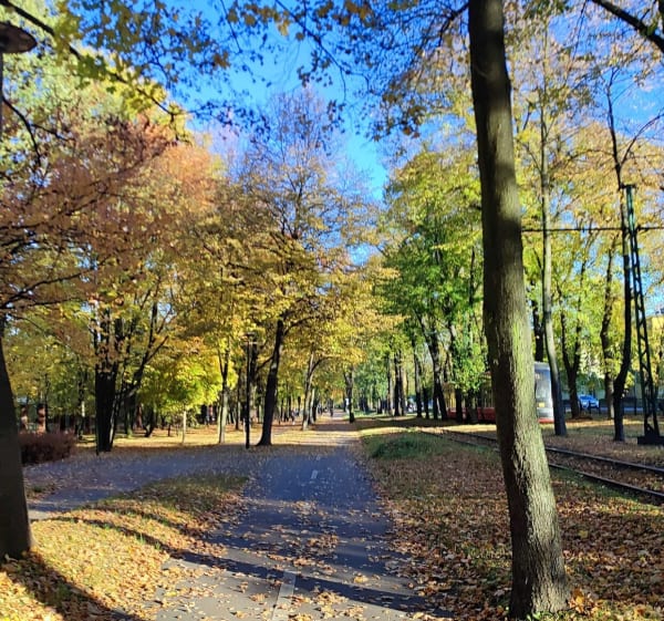 Bytom, Park Kahla, płasko alejkami - Bytom - 1
