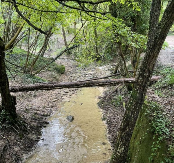 Le ruisseau de la Gerbole depuis les Côtes d'Arey - Les Côtes-d'Arey - 1