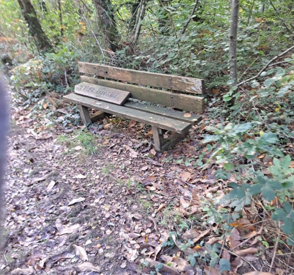 Forêt Domaniale de Saint-Sauveur - Saint-Sauveur-le-Vicomte - 1