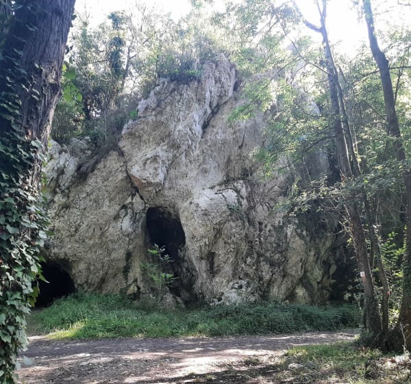 Lavelanet entre voie verte et forêt, par Courtal - Lavelanet - 1