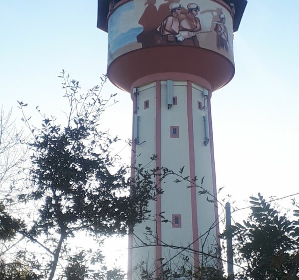 Le tour du lac d'Ensisheim, longeant la Thur depuis Cernay - Cernay - 1