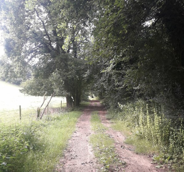 Départ de Vittefleur, par Bois Bascourt - Vittefleur - 1