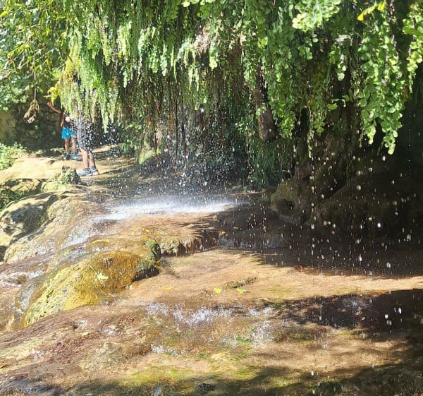 Canal de la Siagne de Saint-Cézaire - Saint-Cézaire-sur-Siagne - 1