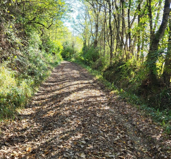 Le chemin des pélerins à Boulaur - Boulaur - 1
