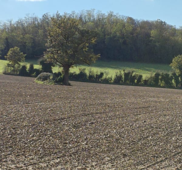 De Villeneuve à la Pierre Brune de Rancé - Villeneuve - 1