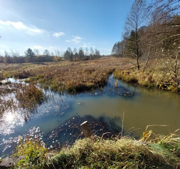 Zalew Gilów i zbiornik Banaszczyk - Drożdżów - 1