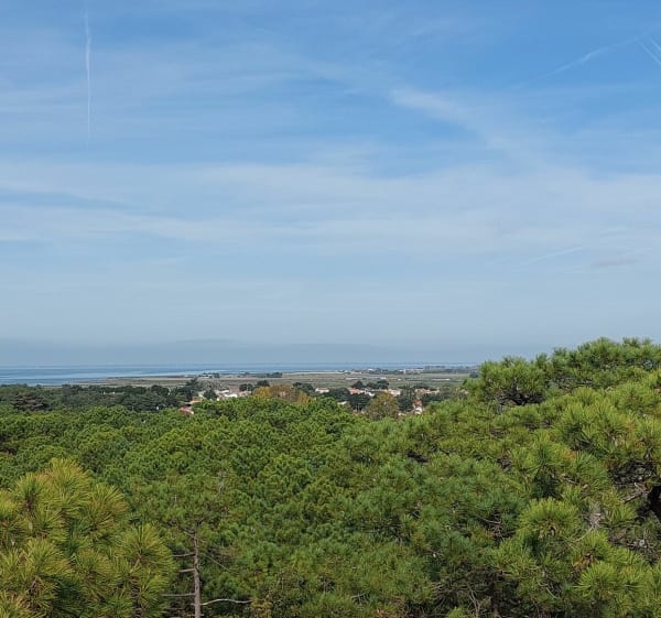 Le Pey de la Blet et Pays de Monts - La Barre-de-Monts - 1