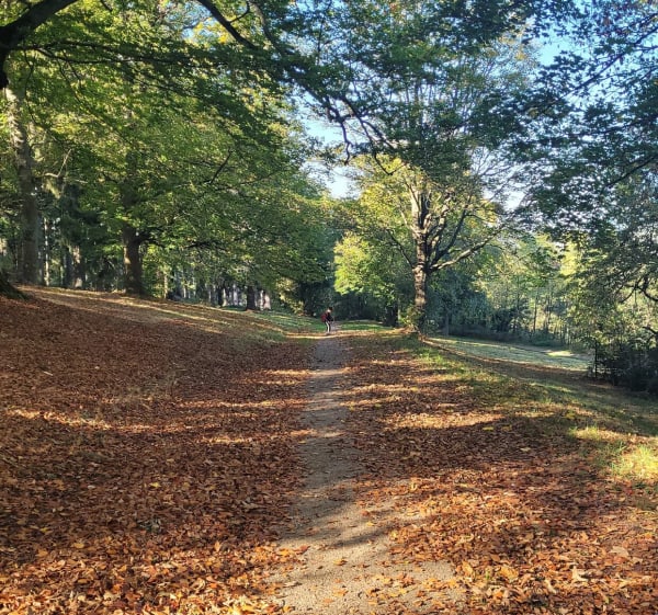 Jardin des Plantes de Saint Etienne - Saint-Étienne - 1