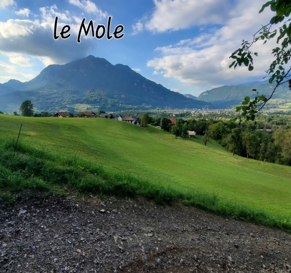 De Marnaz à Vougy via Praz-Bassoux - Marnaz - 1