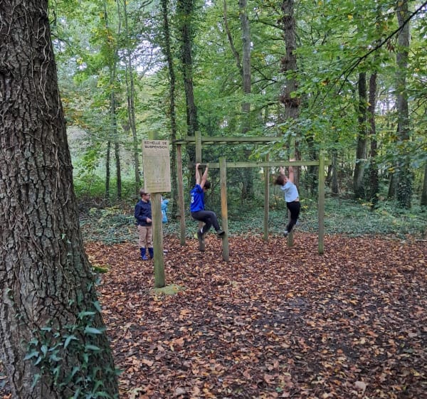 Balade familiale au bois de Baron, par le Pierrette - Baron-sur-Odon - 1