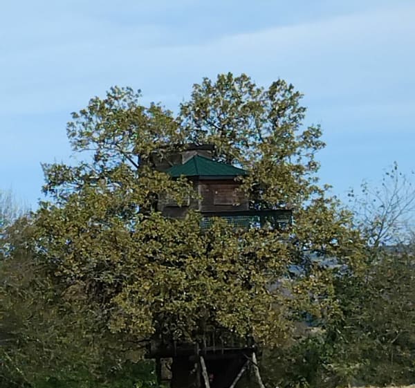 Balade sur les coteaux de Bougarber - Bougarber - 1