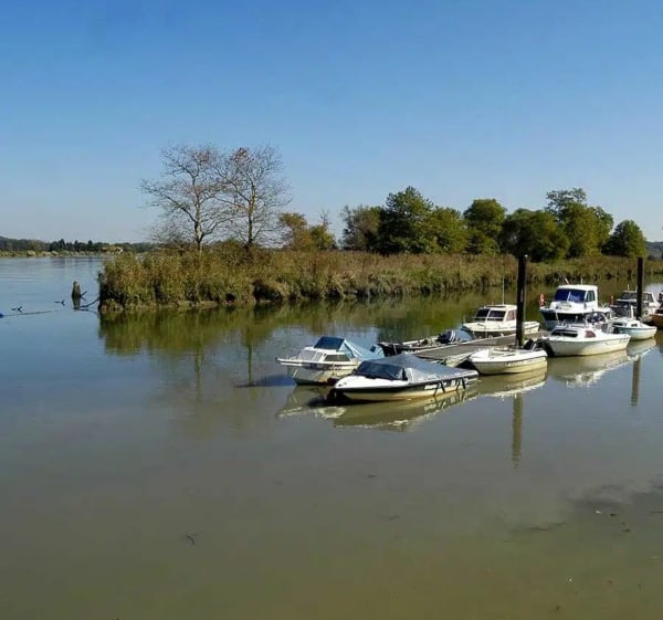 Urcuit et sa balade le long de l'Adour - Urcuit - 1