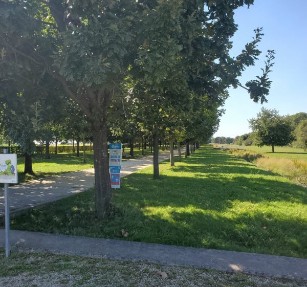Boucle partant de l'école Charles Peguy vers et dans le parc - Thiais - 1
