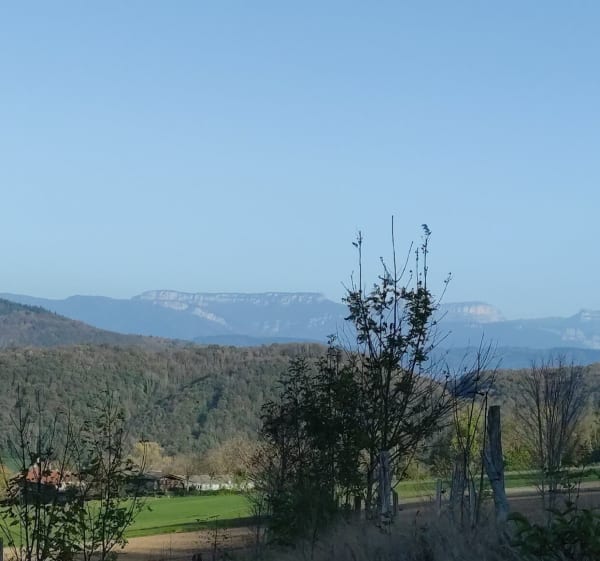 La croix des Cochettes - Bilieu - 1
