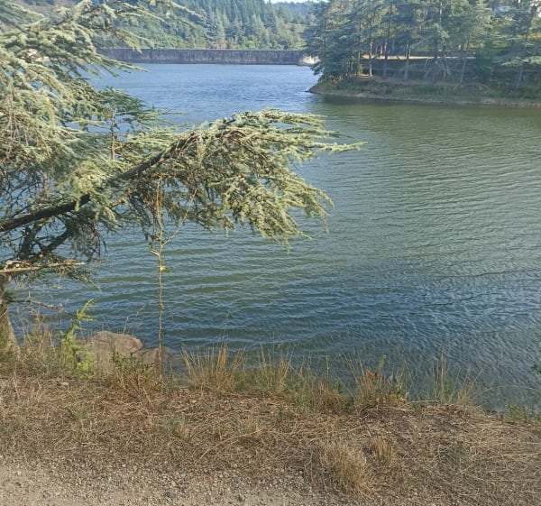 St-Marcel-lès-Annonay, du village au lac - Saint-Marcel-lès-Annonay - 1