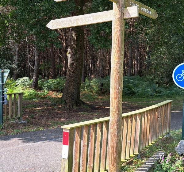 De Vielle à Contis en passant par la forêt landaise - Vielle-Saint-Girons - 1