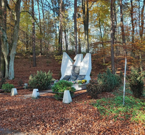 Żmijewo i okolice - Brodnica - 1