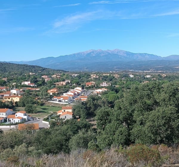 Autour de Montesquieu-des-Albères - Montesquieu-des-Albères - 1