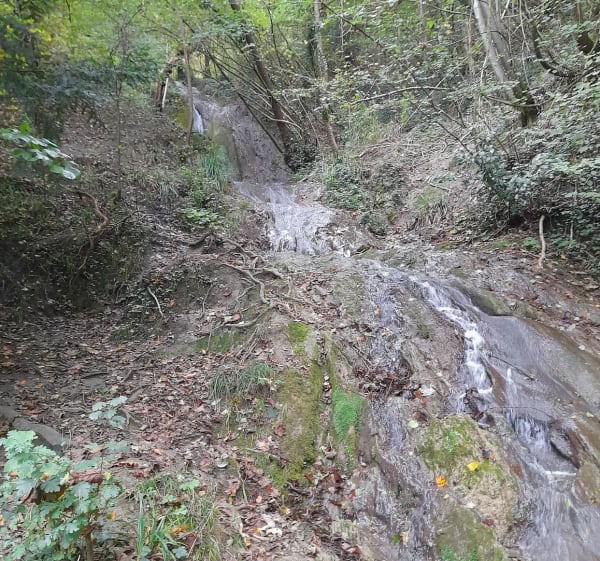 Balade à la Colline Mûrier - Saint-Martin-d'Hères - 1