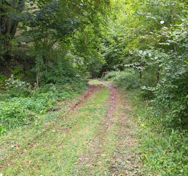 Marche autour de Radicêtel - Saint-Jean-de-Folleville - 1