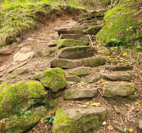 Itinéraire autour de Rappenfelsen - Saverne - 1