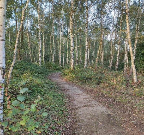 Boucle sur le terril de Condé-sur-l'Escaut - Condé-sur-l'Escaut - 1