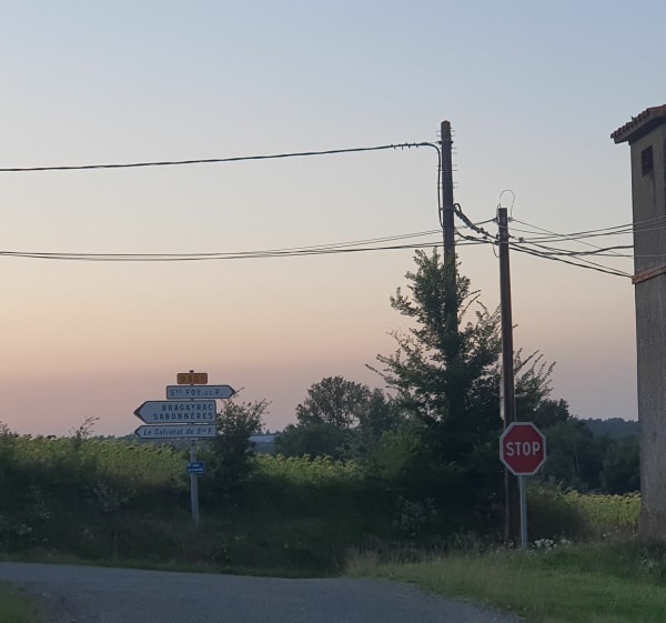 Forêt communale de Sainte Foy de Peyrolières, grande boucle - Sainte-Foy-de-Peyrolières - 1