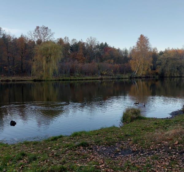 Spacer - dwa stawy - Katowice - 1