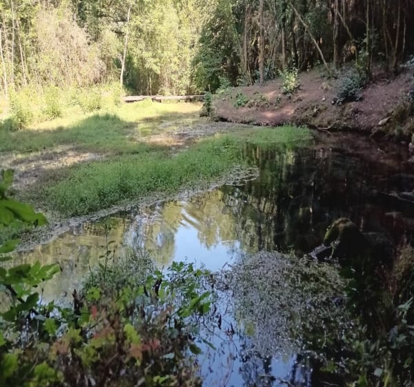 Aux sources du Dourzon - Nant - 1