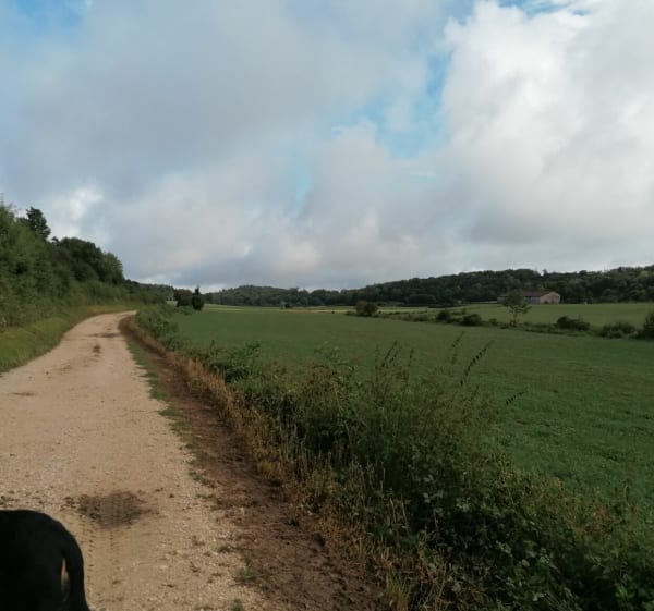 Boucle entre la plage de Bellecin et Onoz - Orgelet - 1