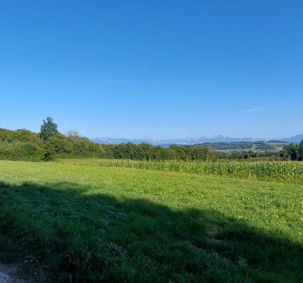 Balade vers l'étang du Vivier - Valencogne - 1
