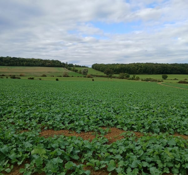 Dimanche entre Heillecourt et Fleville - Heillecourt - 1