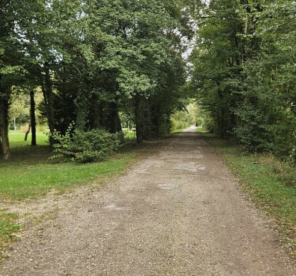 Entre Talmay et Heuilley-sur-Saône - Talmay - 1