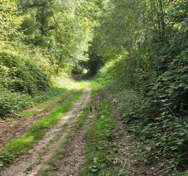 Par les vieux chemins de Valenciennes - Quérénaing - 1