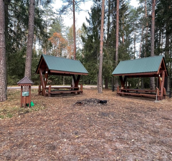 Ścieżka dookoła lasu - Majówka - 1