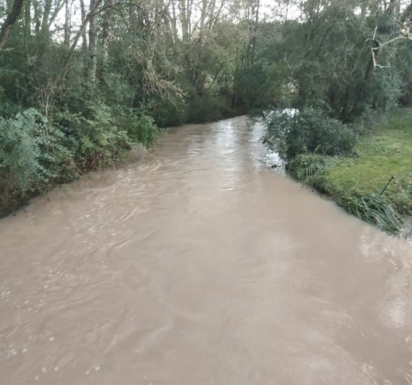 Randonnée en forêt de Loches - Ferrière-sur-Beaulieu - 1