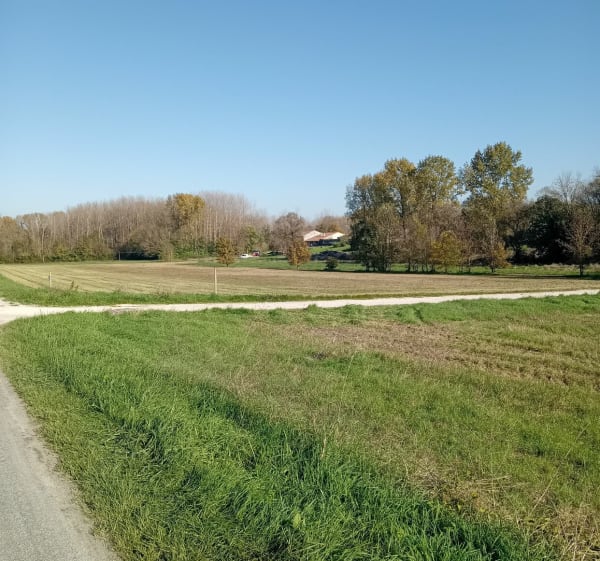 Randonnée à Lonzac entre vigne et bois - Lonzac - 1