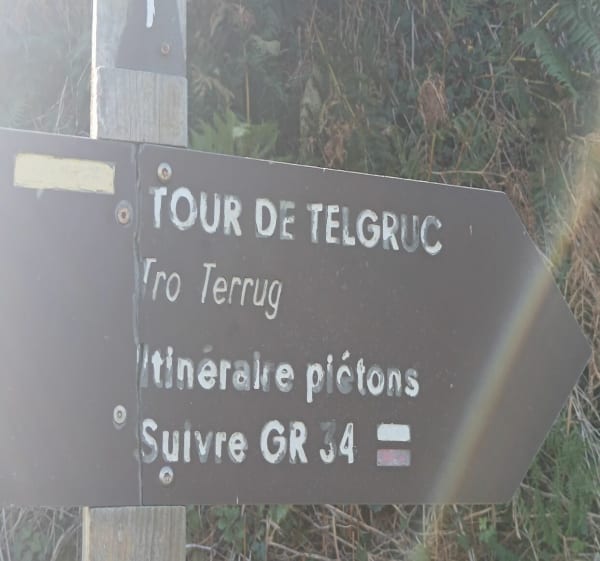 Tour de Telgruc - Telgruc-sur-Mer - 1