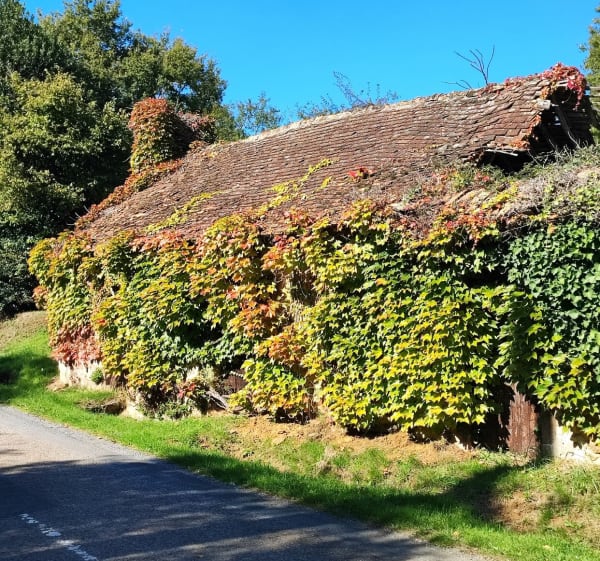 Boucle de la Chapelle-Saint-Fray, Ste-Sabine, la Bazoge - La Chapelle-Saint-Fray - 1