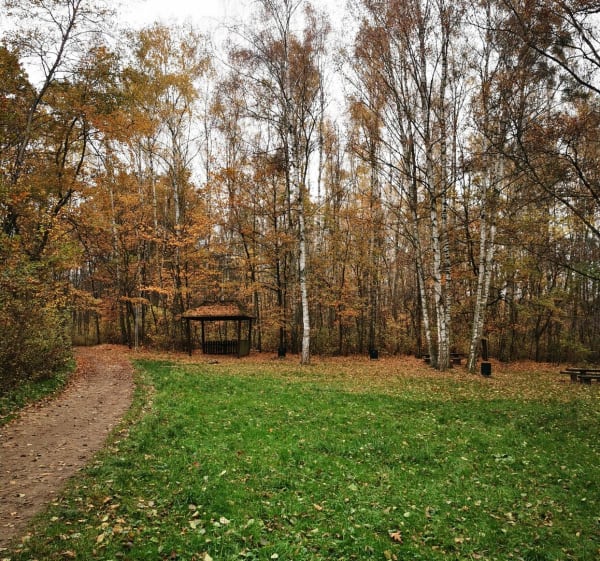 Pętla od parku Sołackiego, przez jezioro Rusałka i Strzeszyn - Poznań - 1