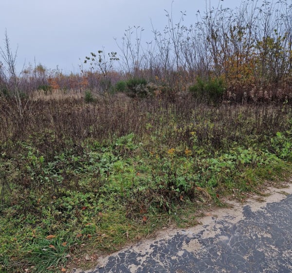 Przy lotnisku - Łódź-Polesie - 1