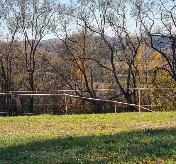 Wyczerpy ścieżka dębowa i rzeka - Częstochowa - 1