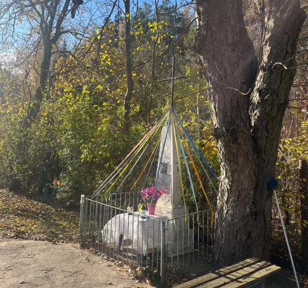 Spacer przez Lasy Mazowieckie z Alei Dębów - Serock - 1