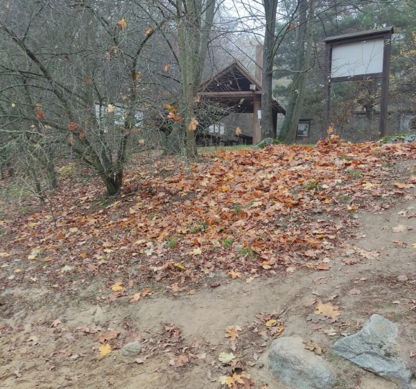 Krótka pętla przy studni Napoleona - Mosina - 1