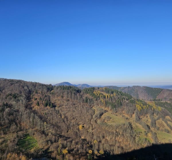 Widokowa trasa po górach suchych i kamiennych - Rybnica Leśna - 1