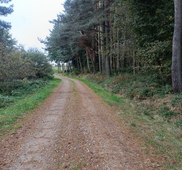 Randonnée en Haut Forez par par Merle et Leignecq - Saint-Hilaire-Cusson-la-Valmitte - 1