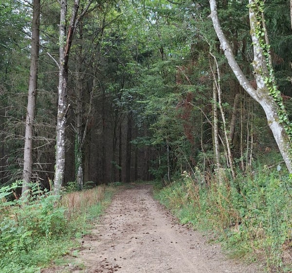 Col de Saint Bonnet - Montmelas-Saint-Sorlin - 1