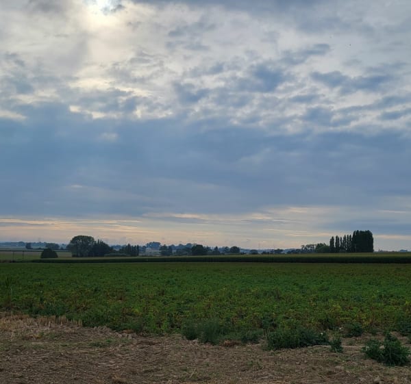 Tour des Flandres - Hardifort - 1