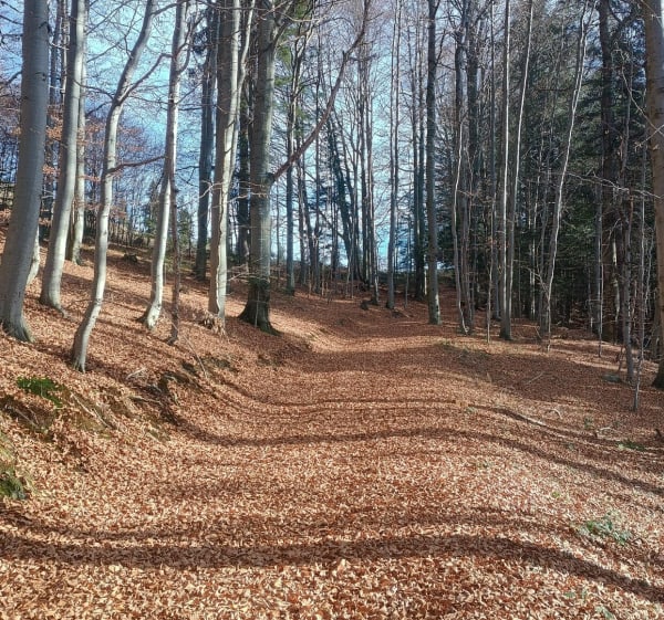 Przysłop-gorce - Ochotnica Górna - 1