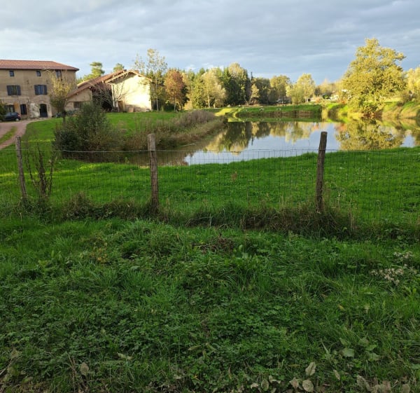 De Villeneuve aux étangs de Sainte-Olive - Villeneuve - 1